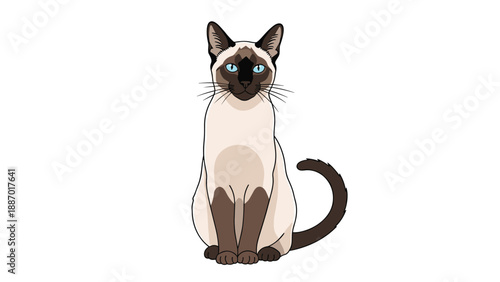 Elegant Siamese cat with striking blue eyes and characteristic dark points sitting calmly against a plain white background.