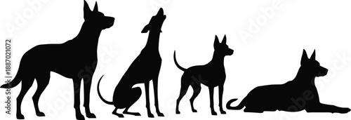 Set of black dog silhouettes in different natural poses including standing sitting howling and lying down for pet care and animal veterinary concepts