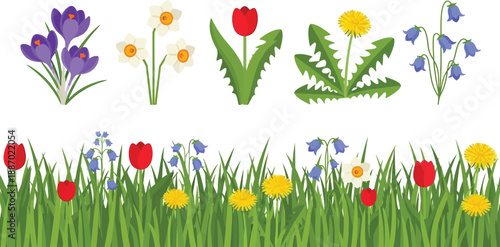 Colorful Spring Flowers and Grass Illustration on White Background