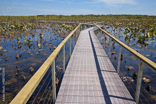 Fotografie Lookout on Woodlands to Waterlilies Walk in Fogg Dam Conservation Reserve, North