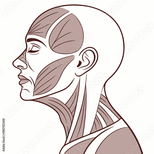 Hyper-Detailed Humanoid with Perfect Skin, Reflecting the Uncanny Realism and Advanced Engineering of Synthetic Beings