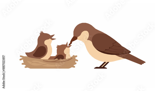 Bird family vector illustration of mother bird feeding chicks in flat wildlife style