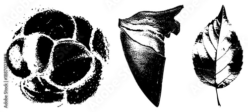 Three Stylized Leaves and Element in Halftone Vector Art