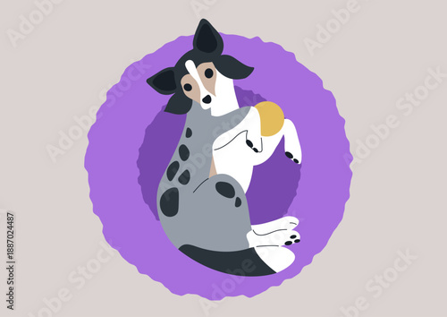 Adorable merle Sheltie puppy playfully curled in a soft, round bed under warm sunlight, creating a delightful scene of warmth and companionship