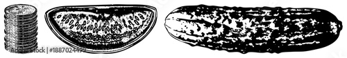 Stacked Coins, Watermelon Slice, and Pickle in Bold Black and White Vector Illustration