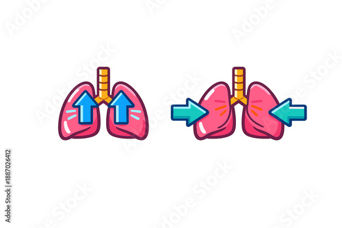Diagram of Lung Inflation and Deflation