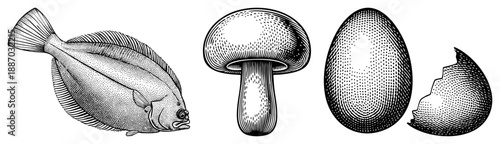 Vintage Halftone Illustration of Flounder, Mushroom, Egg and Cracked