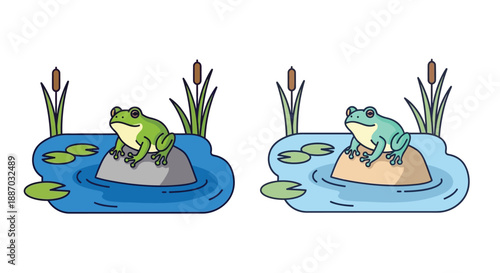Two green frogs sitting on rocks in a pond with lily pads