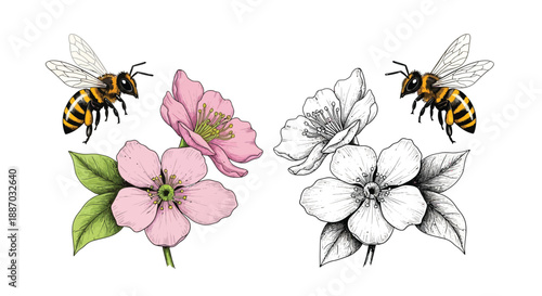 Floral arrangement featuring pink and white blossoms with two buzzing honeybees
