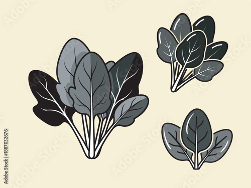 Healthy Greens: A trio of vibrant spinach plants, rendered with bold strokes and a fresh, inviting design, ready to enhance health and culinary creations.