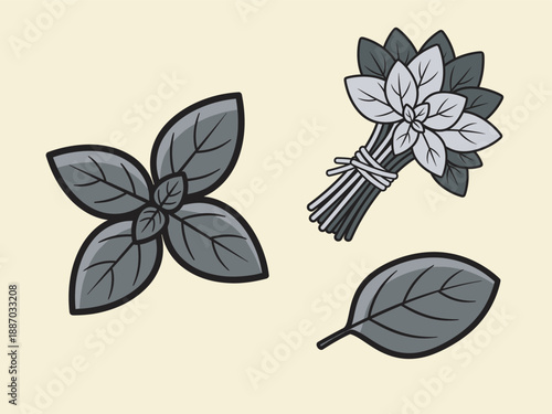 Fresh Basil Illustration: A stylized illustration showcases the aromatic charm of fresh basil leaves, perfect for culinary endeavors and food-related themes.