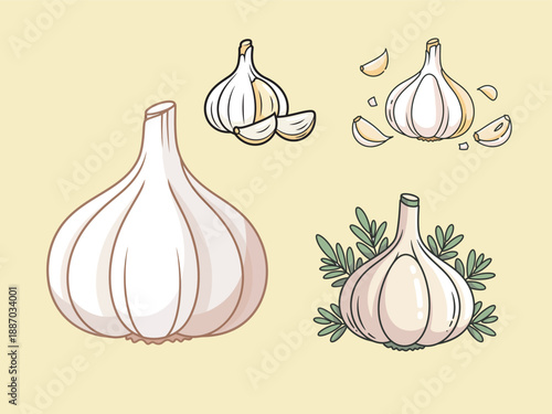 Garlic Bulb and Clove Flat Illustration Set for Cooking and Food Design