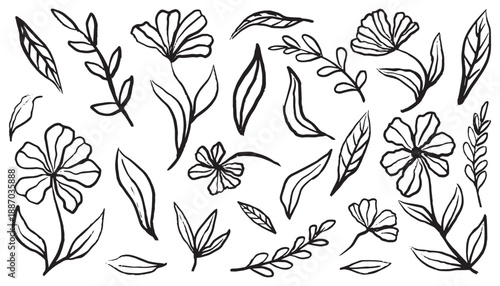 Doodle ink drawing flowers and leaves set. Nature spring floral elements plant sketch. Leaf brush stroke. Simple flower black paint. Artistic botanical silhouette Chamomile, daisy, aster,chrysanthemum