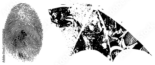 Fingerprint Scan and Abstract Biometric Vector Graphic