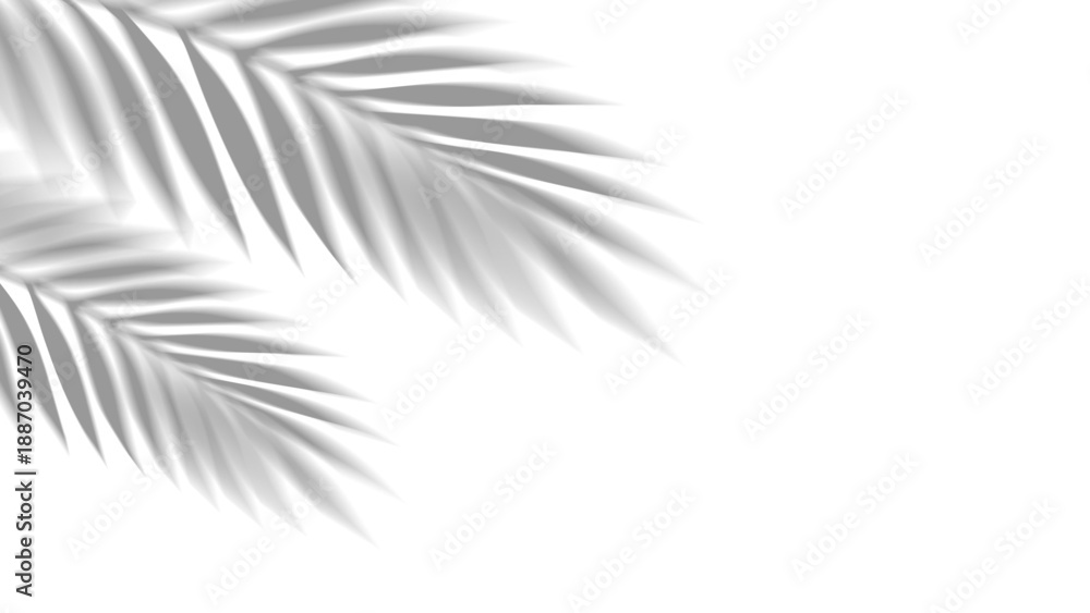 Fototapeta premium Overlay shadow of realistic tropical palm leaves on transparent background. Black and white coconut leaf and branches blur shadow overlay effect summer decorative element design. Vector illustration.