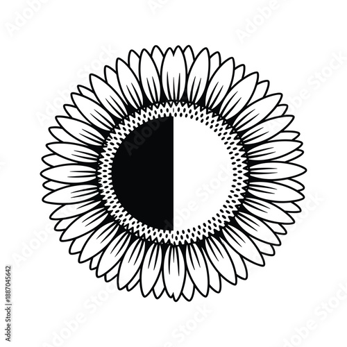 Graphic sunflower petals with divided seed head symbolizing duality nature and balance