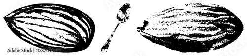 Hand Drawn Almond, Spoon, and Halved Nut in Stylized Black and White Vector Art