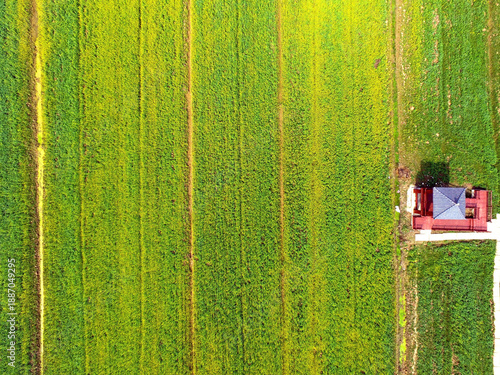 Foto Aerial Shot of Red Barn House in Green Farmland