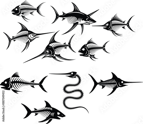 Fish skeleton illustration set with various marine species bones, black and white anatomy collection for biology, science and educational design vector