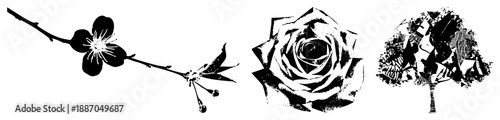 Black and White Silhouettes Cherry Blossom, Rose, and Abstract Tree