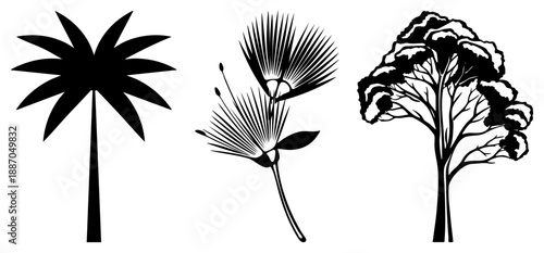 Three Black Silhouetted Plants Palm, Dandelion, Snow Covered Tree