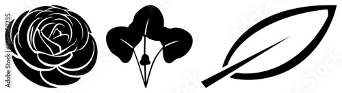 Elegant Black and White & Leaf Vector Set