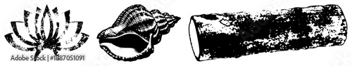 Stylized Lotus, Conch, and Log Vector with Textured Grunge Effect