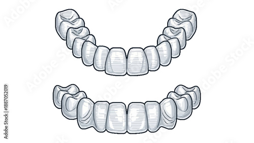 Illustration of clear dental aligners or retainers for upper and lower teeth, used for orthodontic treatment.