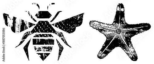 Stylized Bee and Starfish Silhouettes with Textured Grunge Effect
