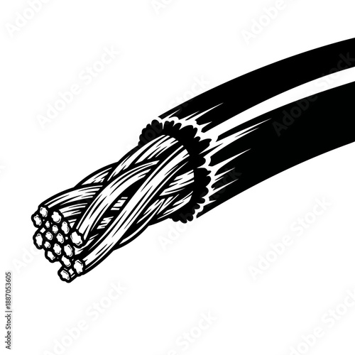 Cross section of electrical cable