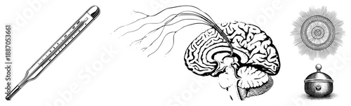 Vintage Thermometer, Human Brain with Neural Connections, and Antique Alchemical Flask