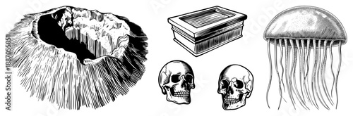 Vintage Engraved Illustrations of Volcano, Coffin, Skulls, and Jellyfish