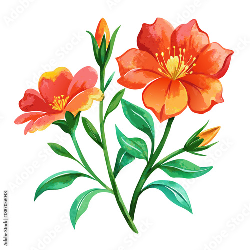 Vibrant orange flowers with green leaves
