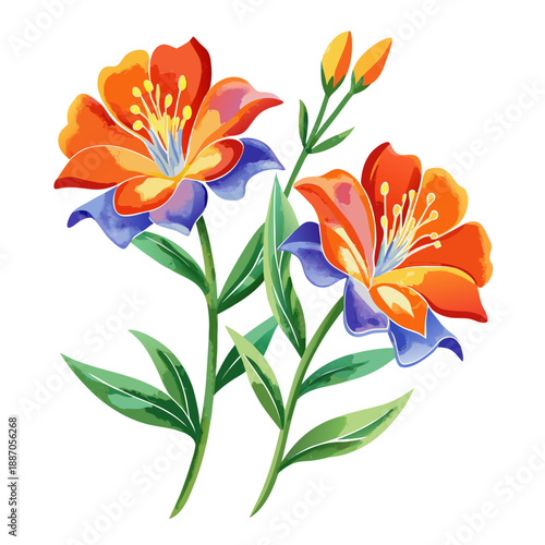 Vibrant orange and blue flowers