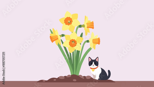 A black and white cat sits near a cluster of yellow daffodils