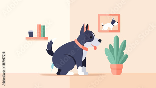 A black and white dog with a pink collar is peeing on the floor