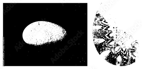 Halftone Textured Potato Slice with Speckled Surface Detail