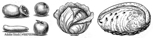 Vintage Engraved Sketches of Fresh Fruits and Vegetables