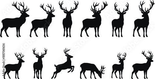 Black deer silhouettes collection, wild stag animal poses set, forest wildlife illustration bundle, minimal design, isolated vector art