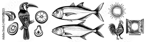 Vintage Halftone Illustration Set Featuring Toucan, Fish, Sun, and Rooster