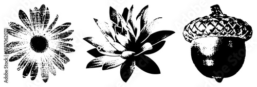 Vintage Halftone & Botanical Vector Set