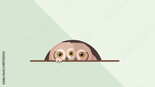 A curious owl peeks over a brown ledge against a muted green background