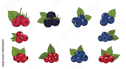 Selection of fresh berries including raspberries, blackberries, blueberries, and red currants with green leaves on a white background.