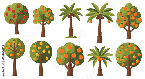 Various types of fruit-bearing trees including apple, orange, and palm trees with coconuts are displayed in a colorful flat style.