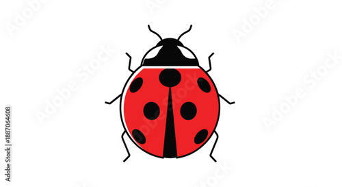 Top view illustration of a classic red ladybug with distinct black spots and a black head on a clean white background.