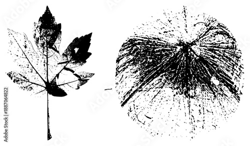 Stylized Maple Leaf and Abstract Radiant in Halftone Vector Design