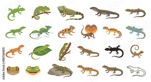 Collection of various lizard species and frog heads, depicted in a flat, cartoon style on a white background.