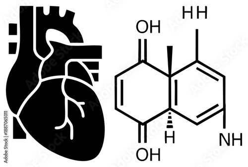 Human Heart Anatomy Diagram and Epinephrine Molecular Structure