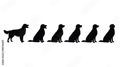 A row of black dog silhouettes in various sitting positions on a white background