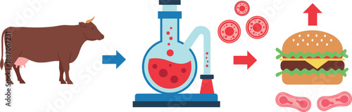 Lab grown meat production process from cow cells to burger infographic illustration